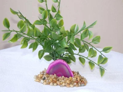 Planta de hoja de guisante de 6" y rebanada de geoda de ágata rosa 827PK, base de piedra, realista artificial Foto 1 de 4