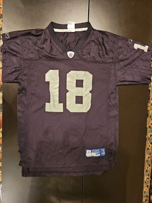 Camiseta de fútbol 2005-2006 Oakland Raiders #18 Randy Moss XL juvenil Reebok Foto 1 de 4