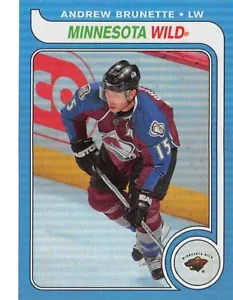 2008-09 O-Pee-Chee 1979-80 Retro Rainbow #466 Andrew Brunette /100 - Picture 1 of 2