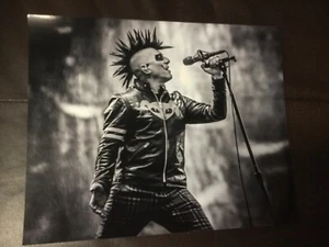 Werkzeug Angst Impfstoff Welttournee Bühne Kunstdruck 8x10 Foto Maynard Keenan als Joker - Bild 1 von 1