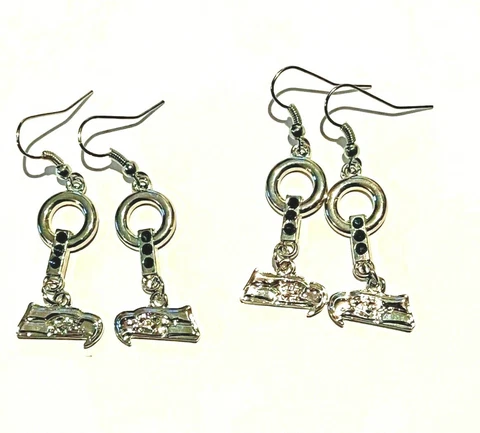 New lot of 2 pairs fish hook Seattle Seahawks Earrings with blue crystals Cover