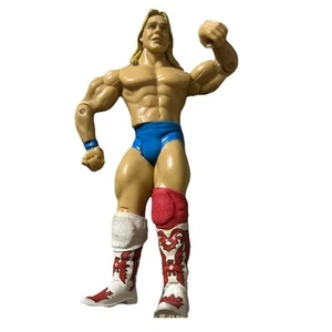 BARRY WINDHAM classic superstars WWE wrestling legend FIGURE by JAKKS wcw wwf - Picture 1 of 4