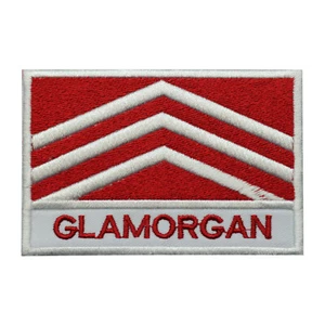 Glamorgan County Flag Patch Iron On Patch Sew On Badge Embroidered Patch - Picture 1 of 1