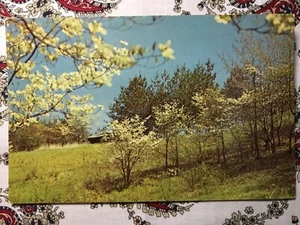Salt Fork State Park, Cambridge, Ohio - Imagen 1 de 2