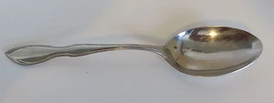 Stegor USA Large Serving Spoon Chanson Stainless Steel Flatware - Picture 1 of 3