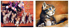 Cute Cat Animal Picture Kids Room Two Set 8X10 Wall Decor Art Print Poster