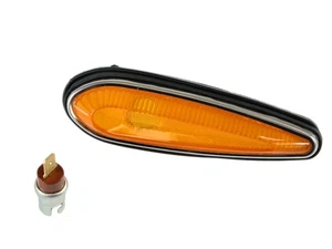 Seitenblinker Blinke Seitlich Seite Indicator light Blinker Lancia Fulvia Flavia - Picture 1 of 3
