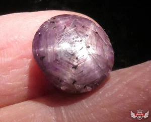 12.32CT. VERY NICE UNTREATED STAR RUBY - Picture 1 of 1