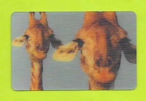 Carte Cora / Match - N°32/44 - Girafe - Picture 1 of 2