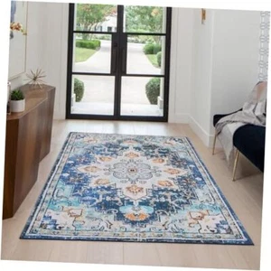 Area Rug Small 2x3 Rugs for Entryway, Washable Indoor Door Mat 2'x3' Teal Blue - Picture 1 of 7