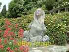 Photo 6X4 The Sphinx Statue On Canal Terrace Bodnant Garden (2) The Sphin C2003