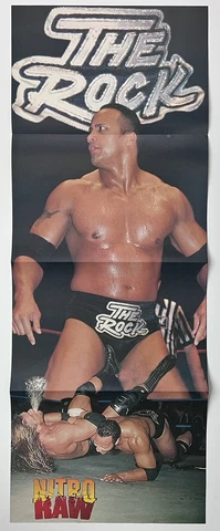 THE ROCK TRIPLE H 11" x 29" double sided Poster X-PAC wrestling wwf wwe wcw ecw Cover