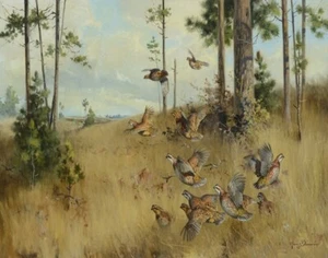 Belmore Browne Quail Under The Pines Canvas Print 16 x 20 - Picture 1 of 5