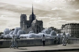 Infrared IR720nm Nikon D7000 converted camera body - Picture 1 of 13