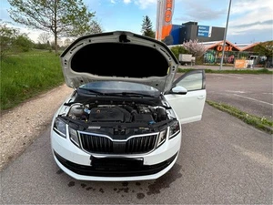 Skoda Octavia Clever Kombi 1,5Tsi DSG - Bild 1 von 8