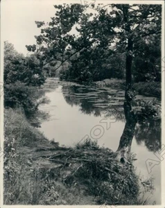 1927 Baltimore Maryland Nature Scene Of Gwynns Falls Park Press Photo - Picture 1 of 2