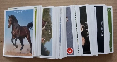 Lot De 10 Stickers Panini Aux Choix Les Plus Beaux Chevaux Du Monde 2023 - Photo 1/2