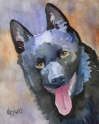 Schipperke Print of Original Fine Art Watercolor by Ron Krajewski - Image 1 of 4