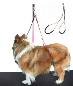 Dog Grooming Loop No Sit Haunch Holder Grooming Restraint by Gravitis Pet Line - Picture 1 of 5