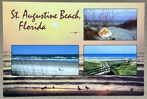 St. Augustine Beach Florida - Postcard - Picture 1 of 2