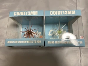 Hideup Koike 13mm 2er Set (2 Farben: Scuppernong / Squash Lemon) aus Japan - Bild 1 von 2