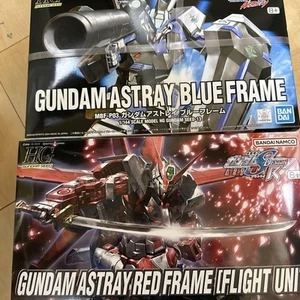 HG Gundam Astray Blue Flame Red Frame Set of 2 - Picture 1 of 9