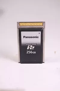 Scheda di memoria Panasonic AU-XP0256AG 256 GB Express P2 serie A - Foto 1 di 5