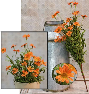 Mini Mountain Daisy / Daisies Bush / Spray em Laranja -18" de Altura - Verão Outono - Imagem 1 de 2