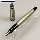 Waterman Expert Fountain Pen in City Line Urban Silver with F-nib