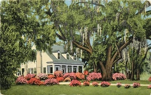 Antigua postal Southern Home musgo robles festonados azaleas móvil Alabama AL pm 1957 - Imagen 1 de 2