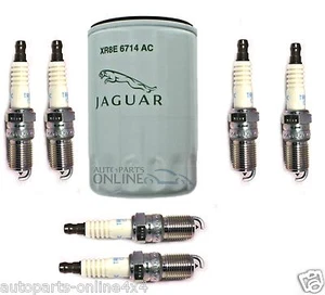 JAGUAR X TYP V6 BENZINÖLFILTER UND ZÜNDKERZEN SET C2D56297/C2S46895 - Bild 1 von 1