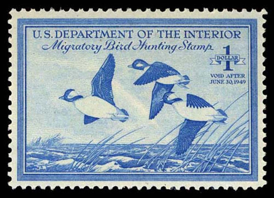 RW15 — 1948 Bufflehead, XF 90 JUMBO NH, PSE Certificate - Image 1 of 2