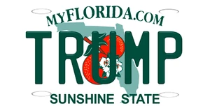 TRUMP MAGA 45 47 FLORIDA STATE METAL CAR NOVELTY LICENSE PLATE AUTO TAG - Picture 1 of 3