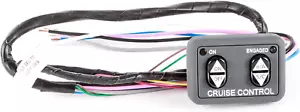 Black Dash Mount Cruise Control Switch, Push Button, 2 Positions, Manual Operati - Picture 1 of 1