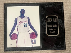 LeBron James Cleveland Cavaliers 1st Round Draft Pick 2013 NBA Commemorative - Picture 1 of 3