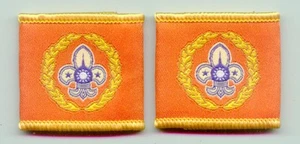 Parche PARRETERAS SCOUTS OF CHINA (TAIWÁN) - Comisionado del Condado Rango Insignia - Imagen 1 de 1