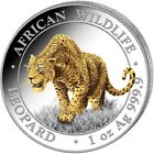 Leopard African Wildlife 2023 100 Shillings 1 oz Silver Gilded Coin Somalia