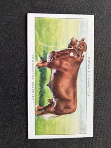1937 Ogden Champions of 1936 Card # 46 Cruggleton Beverley (EX) - Picture 1 of 3