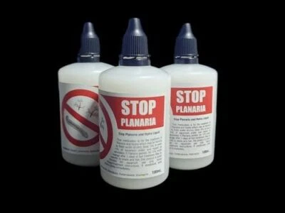Stop Planaria!! Hydra Vorticella,  Shrimp Safe Treats To 1000 Litres, Proven - Bild 1 von 3
