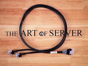Cable SlimSAS SFF-8654 8i a 2x MiniSAS HD SFF-8643 80 cm [CBL-A0054L-01] - Imagen 1 de 4