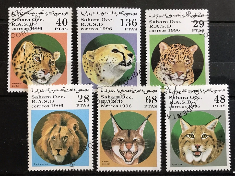 Sahara - Wild Cats / Lion / Panther - stamps - CTO  - Del.14 - Image 1 of 1
