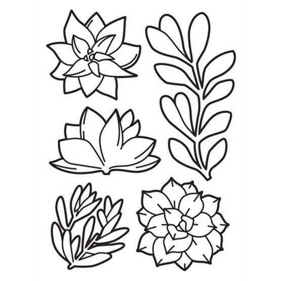 #217 Darice Embossing Folder Essentials " SUCCULENTS " #30023122