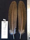 Salmon Fly Tying Feather - Argus Pheasant
