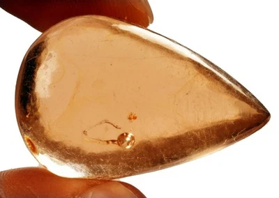 22 Cts. Natural Genuine Old Baltic Amber Untreated Certified Gemstone - Image 1 of 4