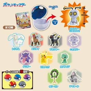 Pokemon Sammlungen erhalten - Ein Wegweiser auf die andere Seite - JAPAN IMPORT - US VERKÄUFER - Bild 1 von 5