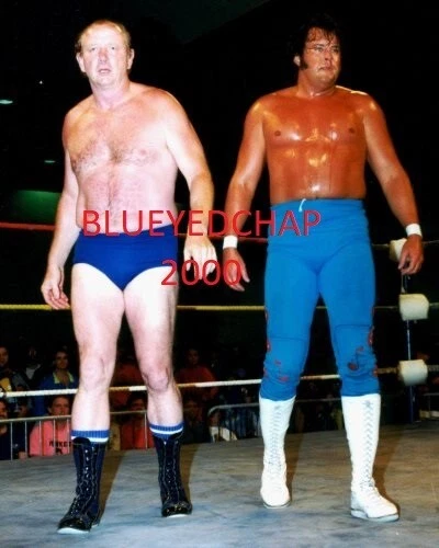 FOTO DE LUCHA LIBRE 8 X 10 DORY FUNK JR & HONKY TONK MAN WWF Foto 1 de 1