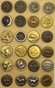 Vénerie- Lot 24 Boutons de gilet d'Équipage. France XIX-XX°s. 15-20 mm. N°1 - Picture 1 of 2
