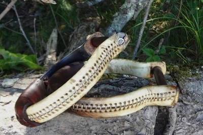 Винтажная пара стальных стремен Oxbow с покрытием из сыромятной кожи - Изображение 1 из 4