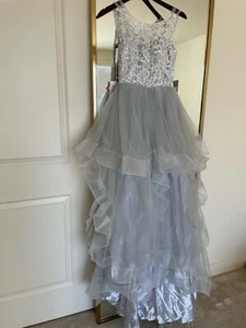 Princess Lace Prom Dress Long - Picture 1 of 7