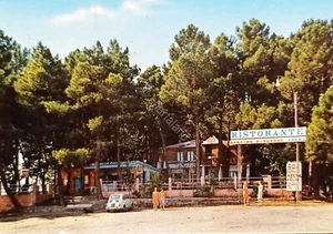Cartolina - Palmi - S. Elia - La Pineta - Ristorante Bar Arena - 1977 - Picture 1 of 2
